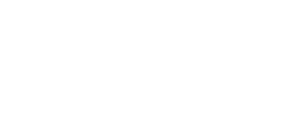Global Intercomex